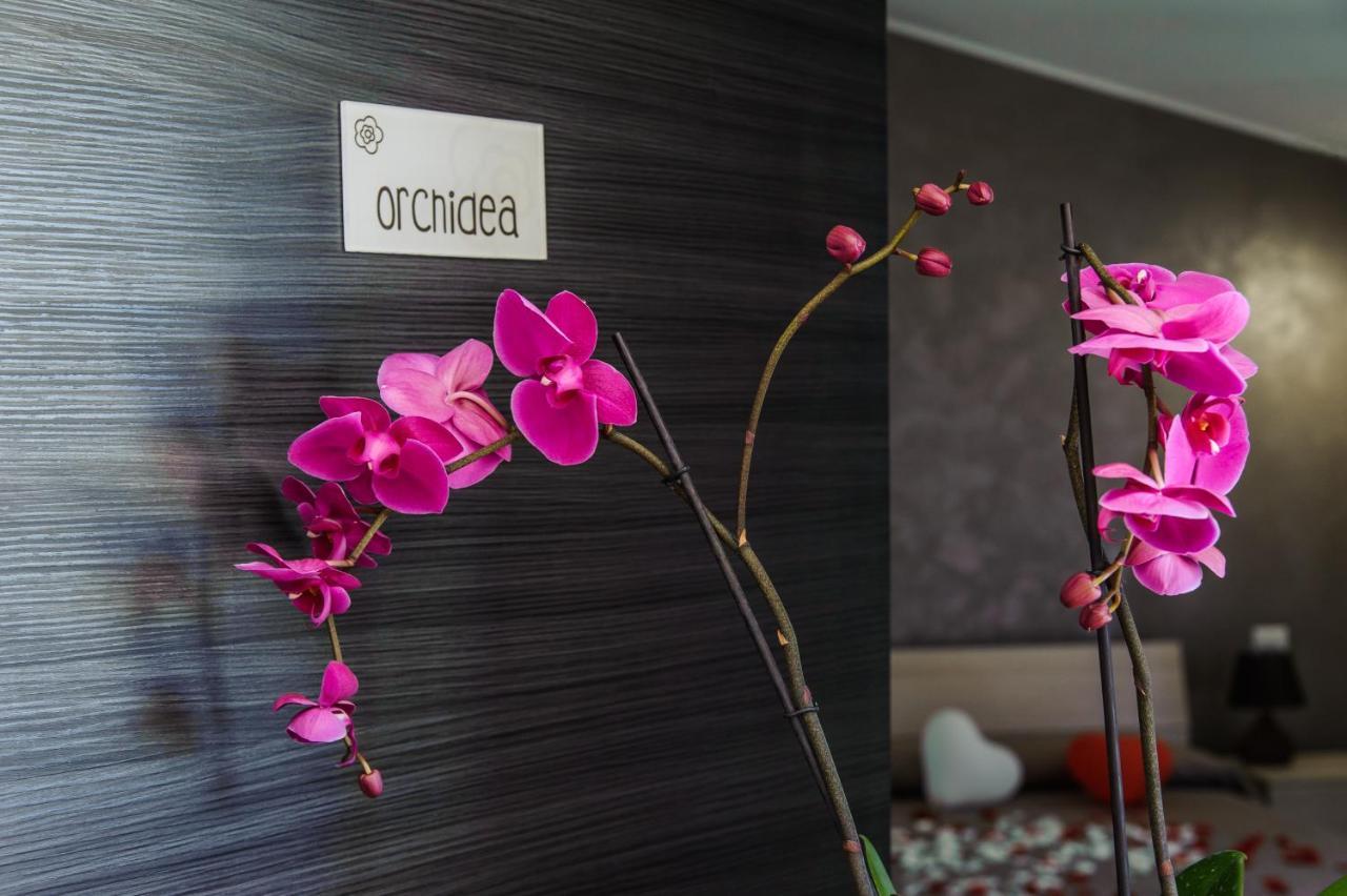 B&B Villa Fiorita 皮亚扎-阿尔梅里纳 外观 照片
